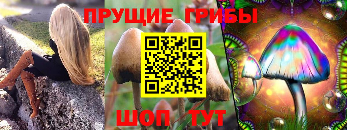 что такое   Галлюциногенные грибы Cubensis  Псилоцибиновые грибы GOLDEN TEACHER  Вход с VPN  Бор 